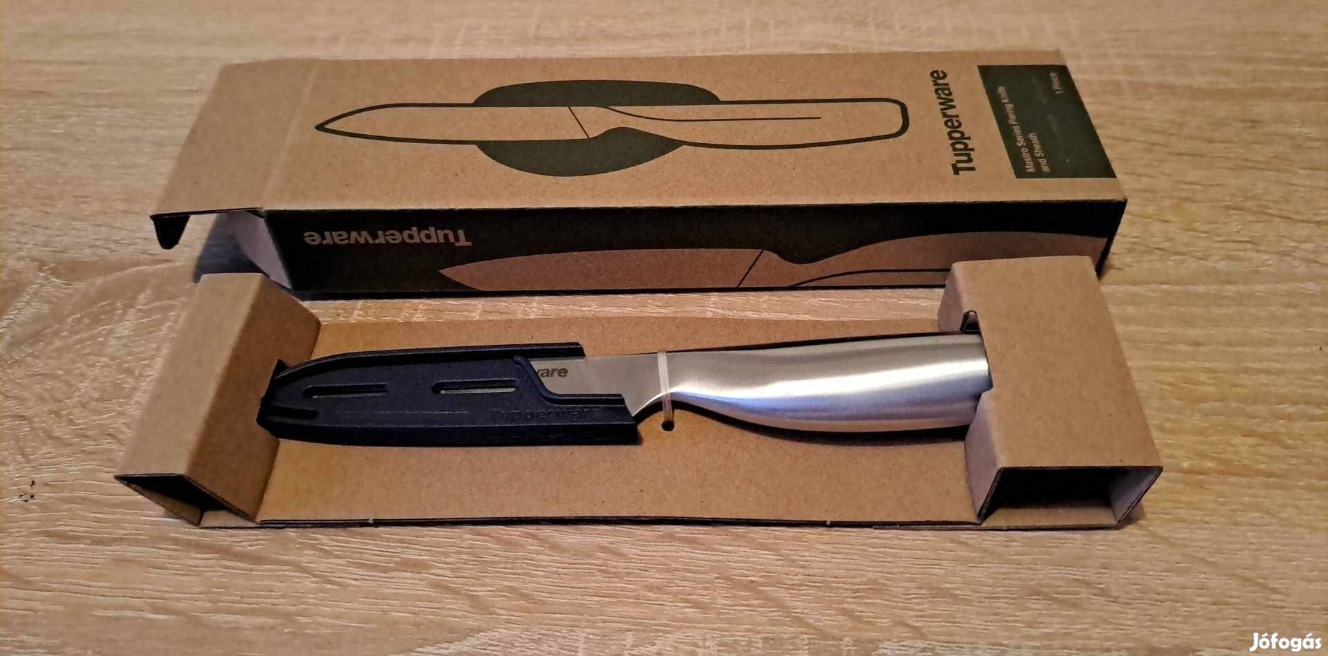 Tupperware Mastro Előkészítő Kés Tokkal