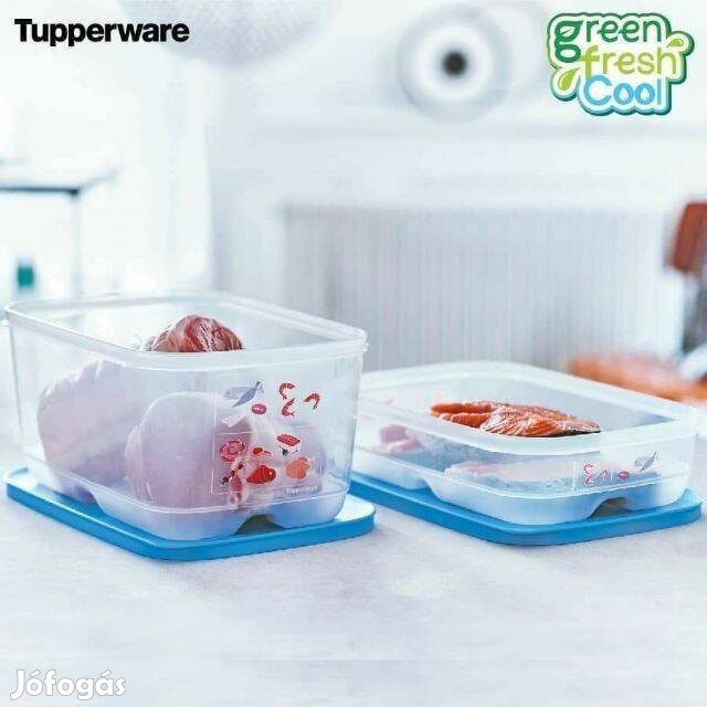 Tupperware Új Generációs IQ tároló szett húsokhoz 2db Új