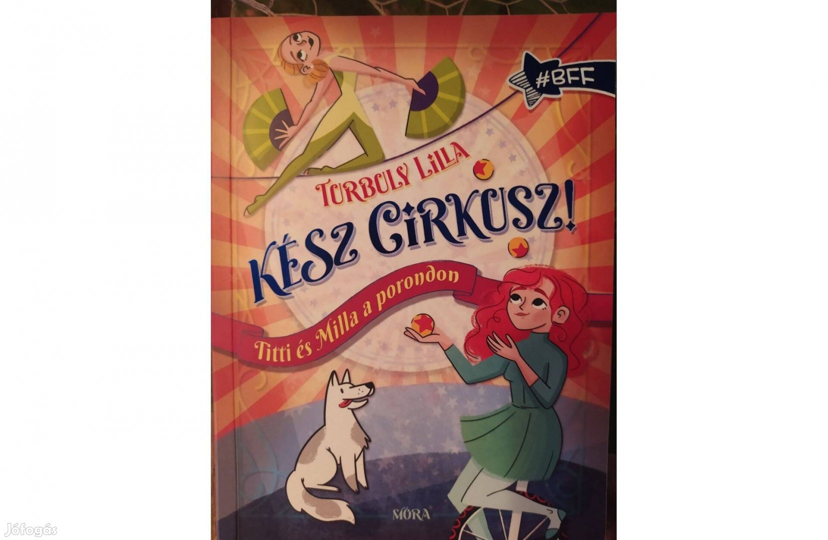 Turbuly Lilla: Kész cirkusz!