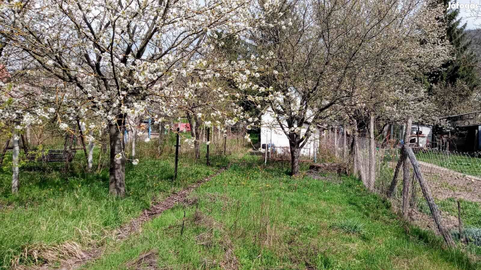 Turul hegyoldalban kiváló helyen kis házikó telekkel