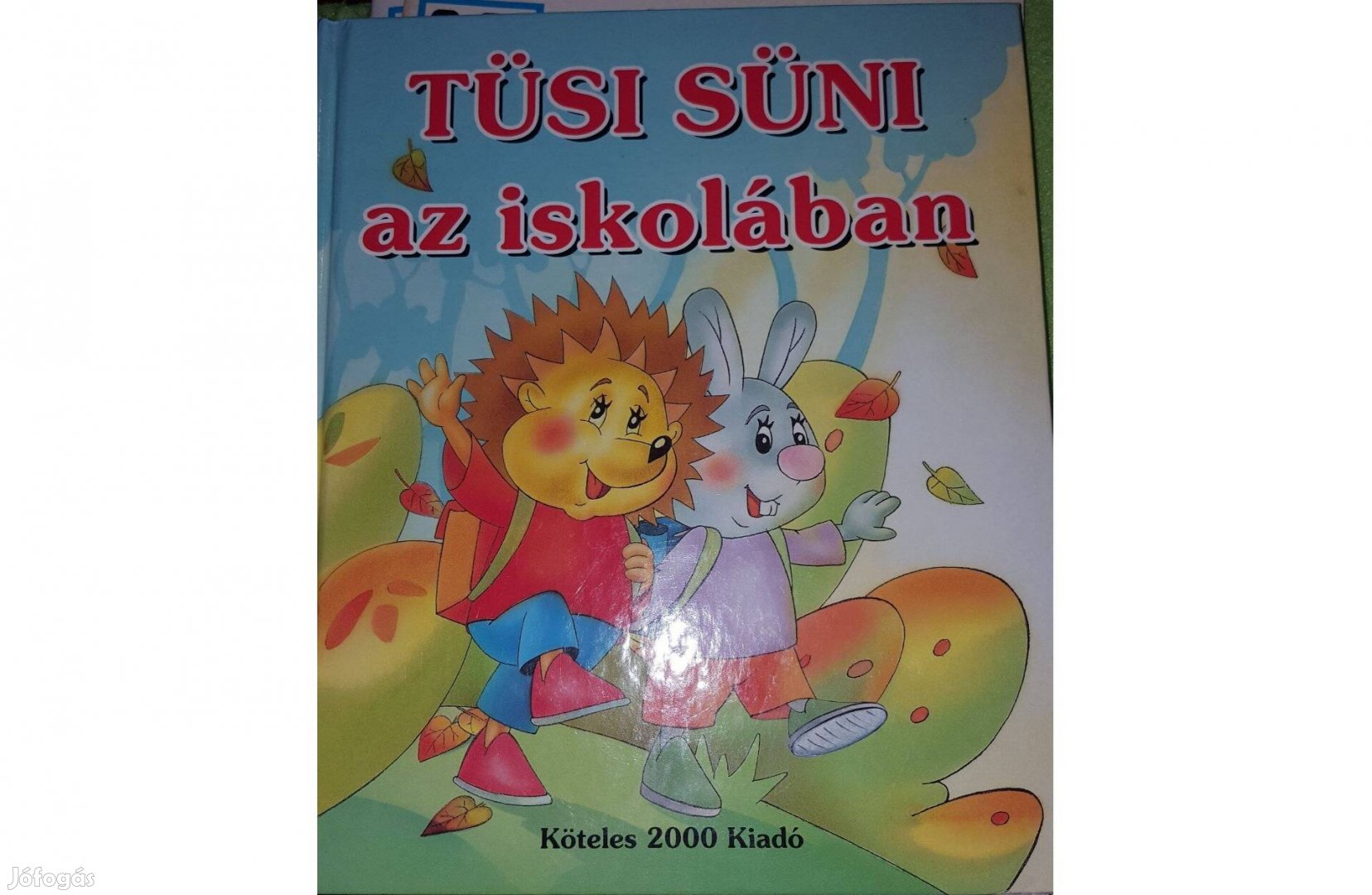 Tüsi Süni az iskolában (mesekönyv)