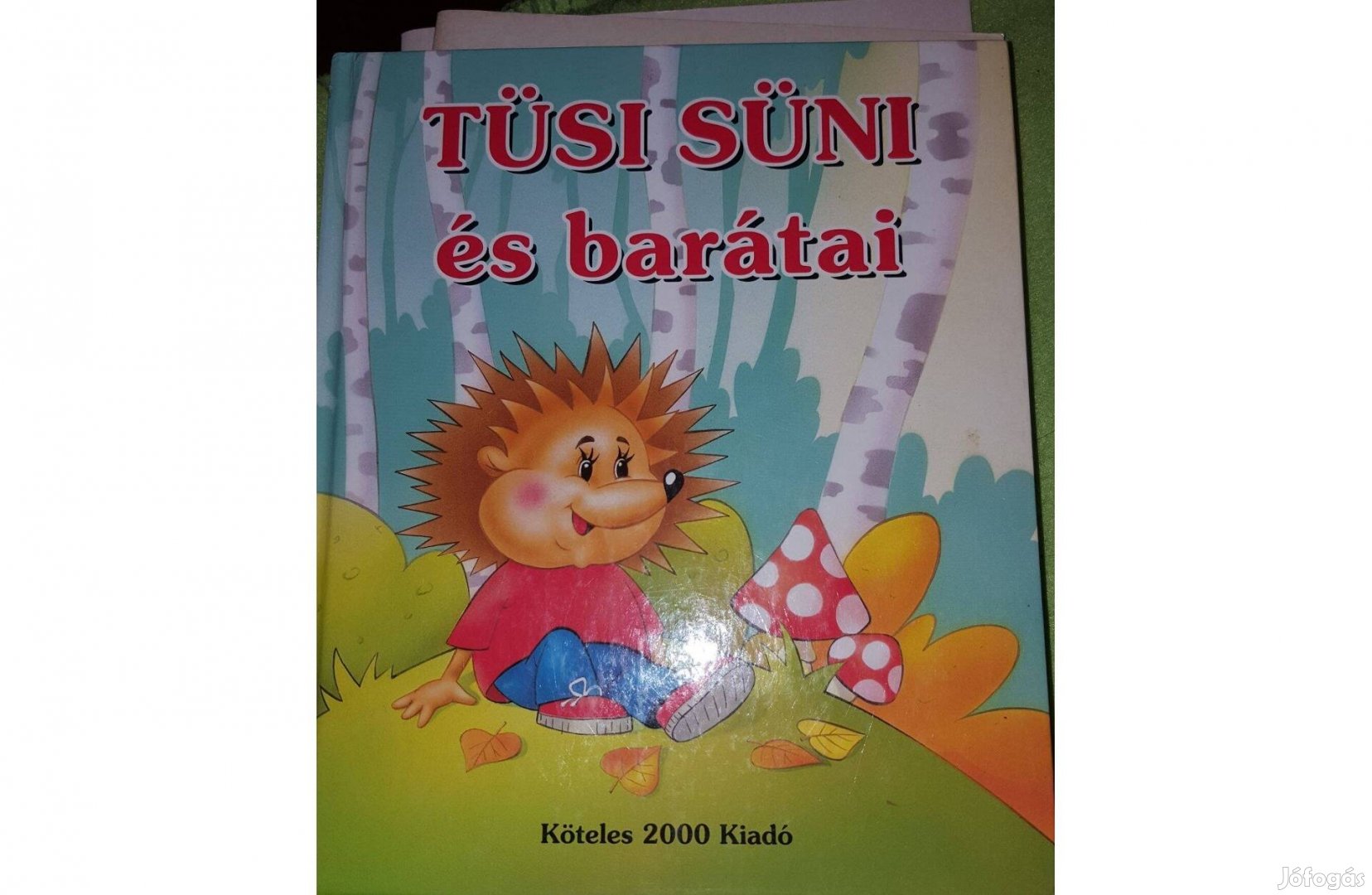 Tüsi süni és barátai (mesekönyv)