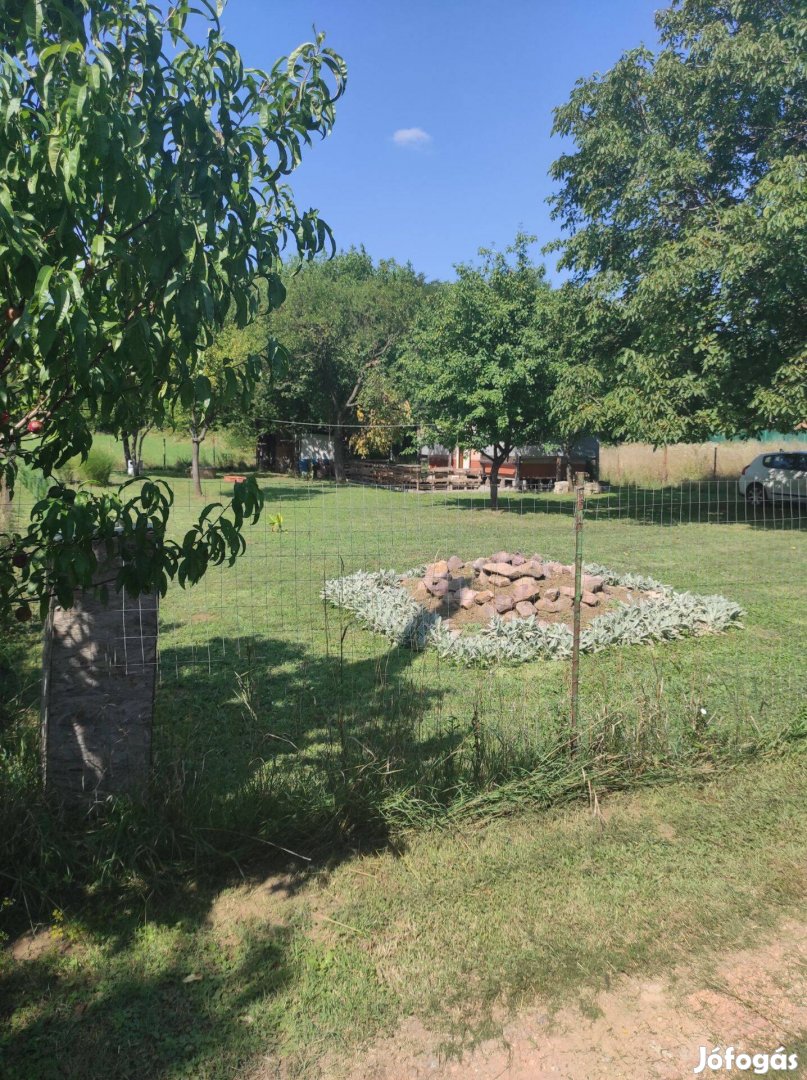 Tüskésréti kiskert