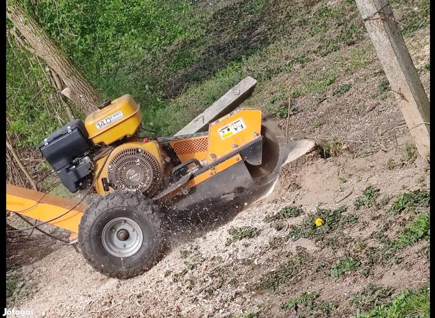 Tuskómaró Rönkmaró