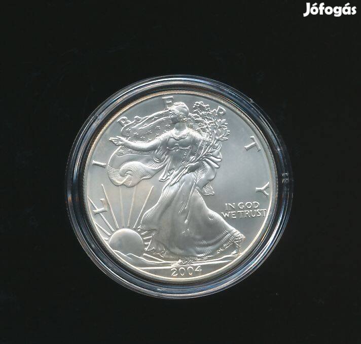 USA 1 oz ezüst 2004, Silver Eagle