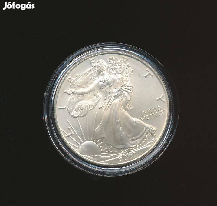 USA 1 oz ezüst 2007, Silver Eagle