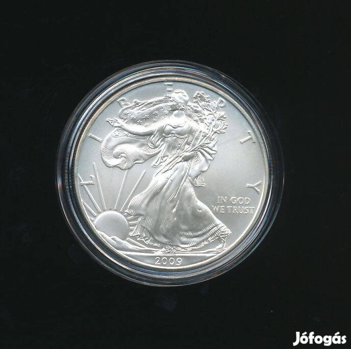 USA 1 oz ezüst 2009, Silver Eagle