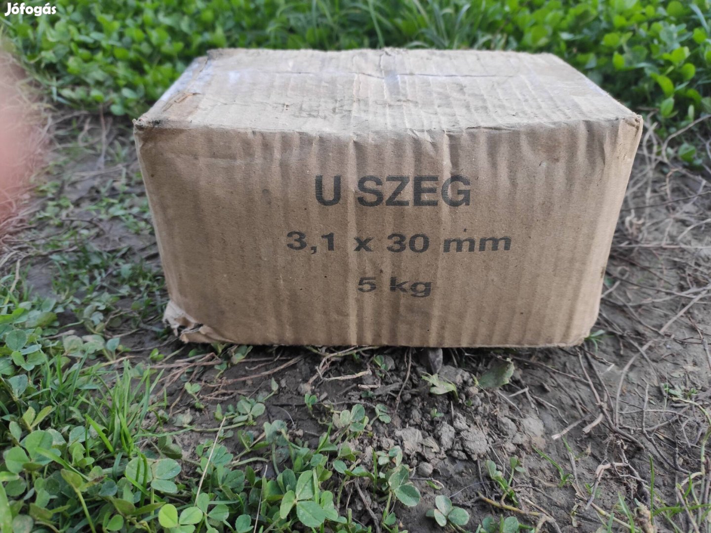 U szeg 3,1*20mm (5 kg)