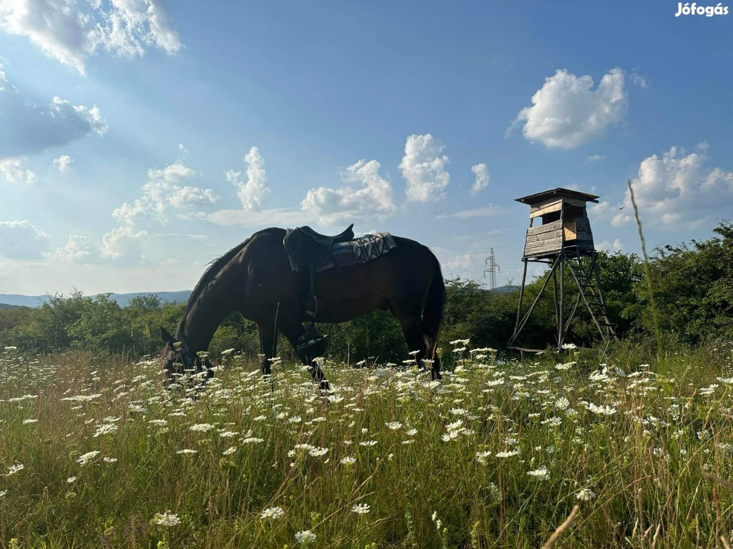Ugro nyereg használt álapotu