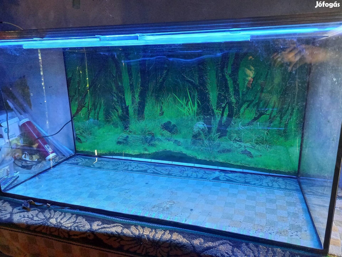 Új 200 literes akvárium csúszó üvegtetőkkel együtt garival 
