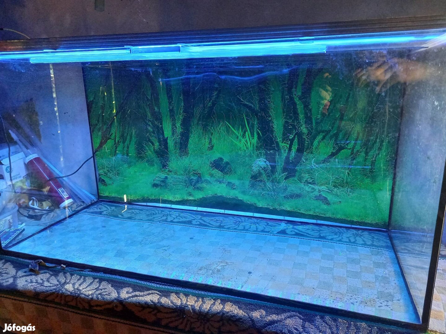 Új 300 literes akvárium csúszó tetőüvegekkel 