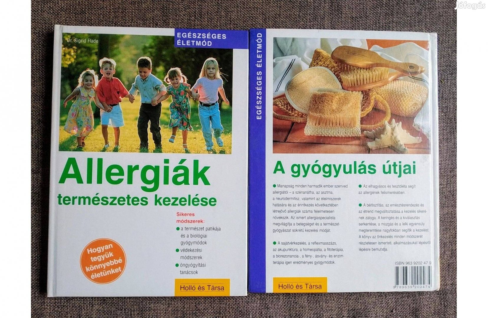 Új Allergiák természetes kezelése (Egészséges életmód) Sigrid Dr. Flad