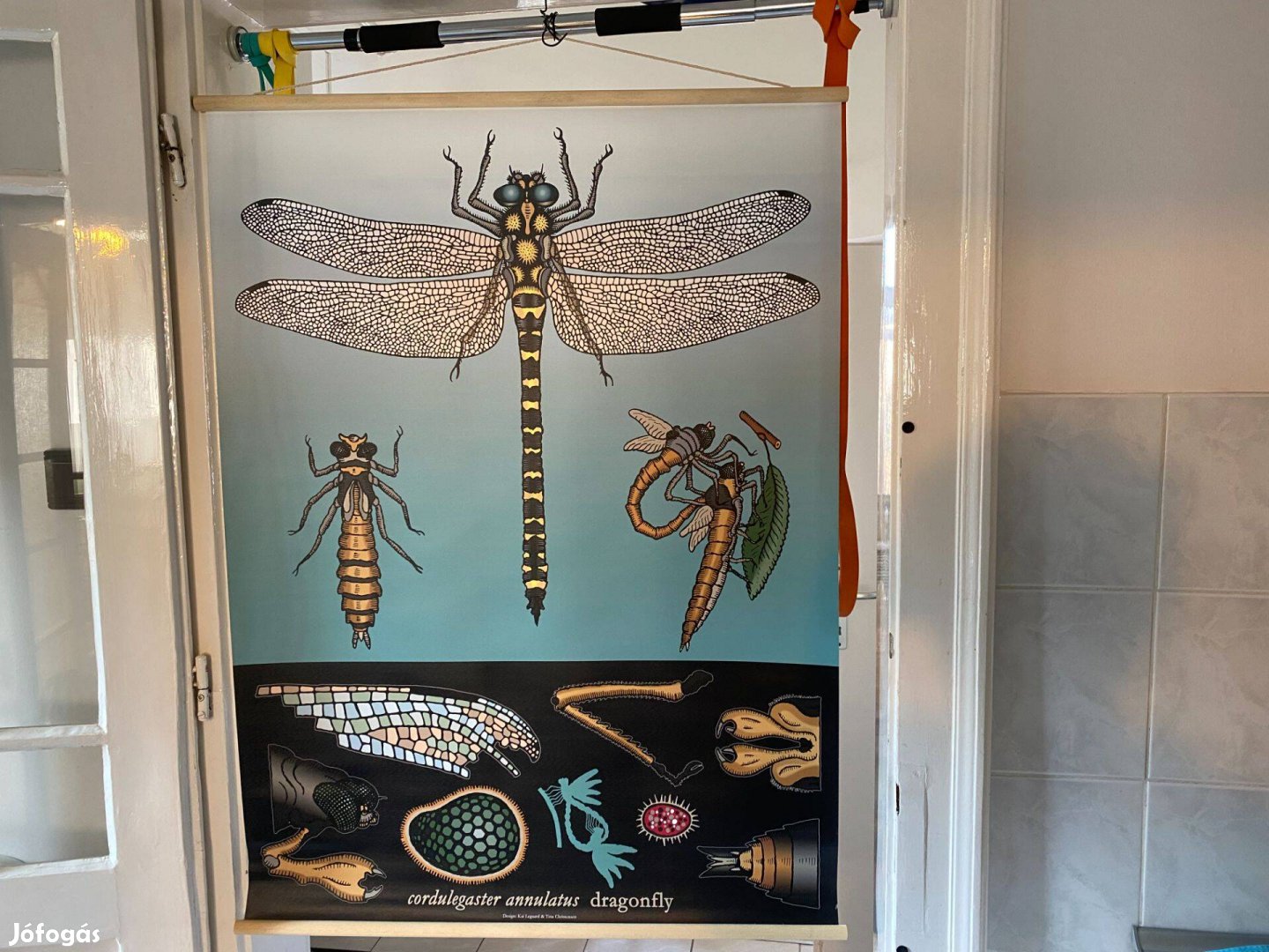 Új Ikea Sibbared vászon rovaros kép dekoráció