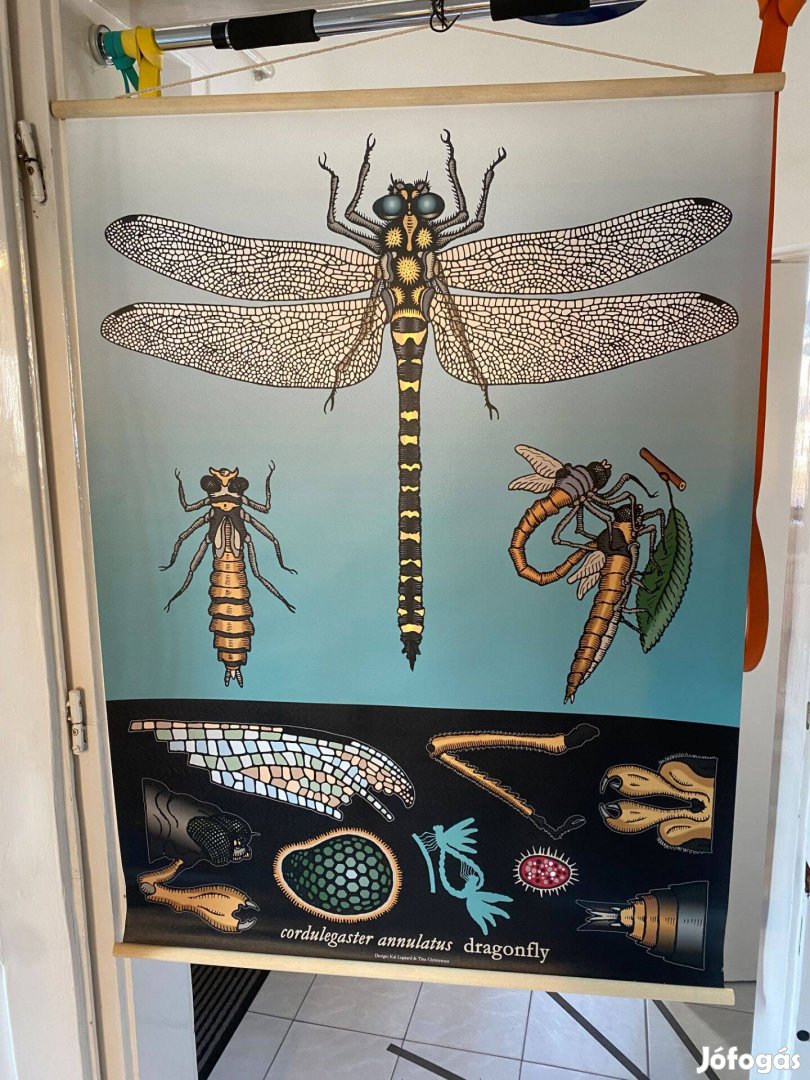 Új Ikea Sibbared vászon rovaros kép dekoráció