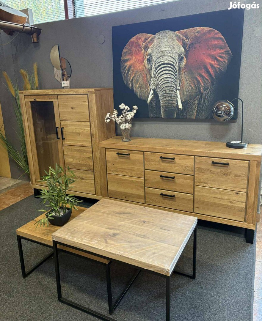 Új Malu tölgyfa frontú komód vitrin Tv állvány tároló üveges