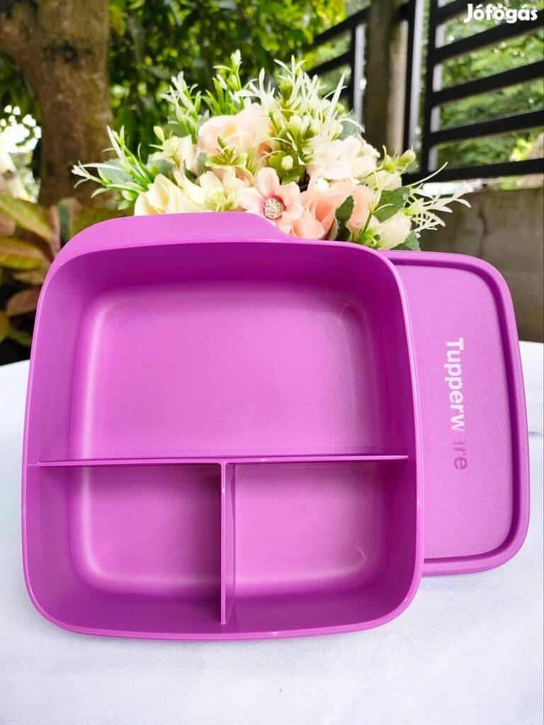 Új Tupperware Osztott Szögletes Étkezőtárs