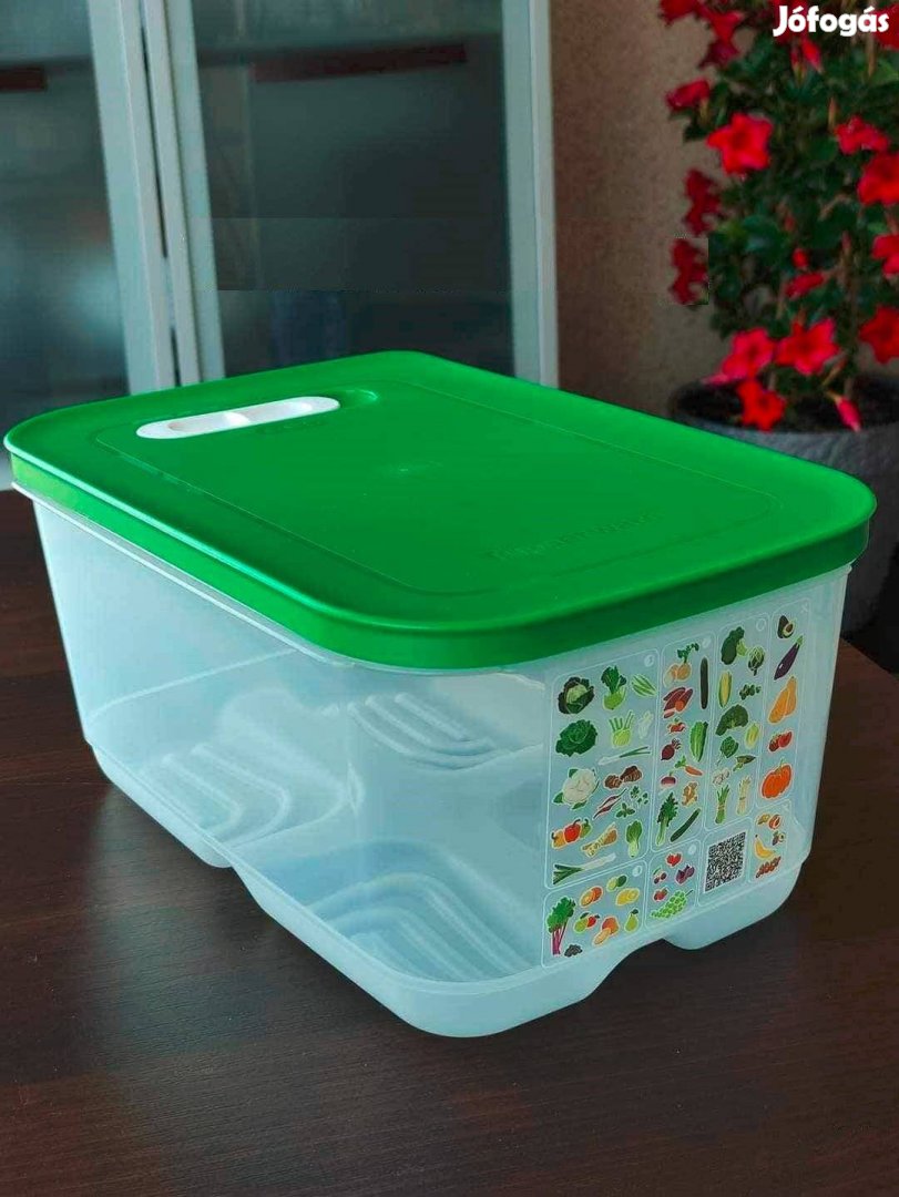 Új Tupperware Úg Intelligens zöldség-gyümölcs frissentartó 4,4 L