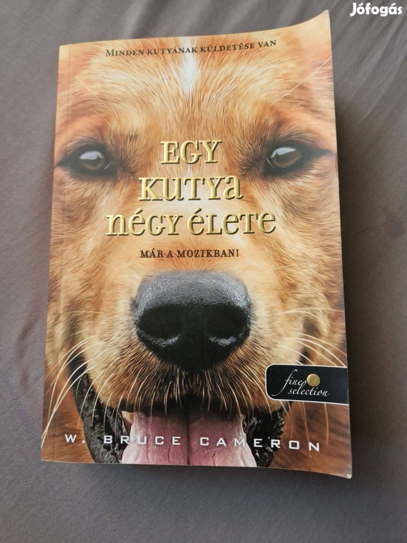 Új "Egy kutya 4 élete" könyv