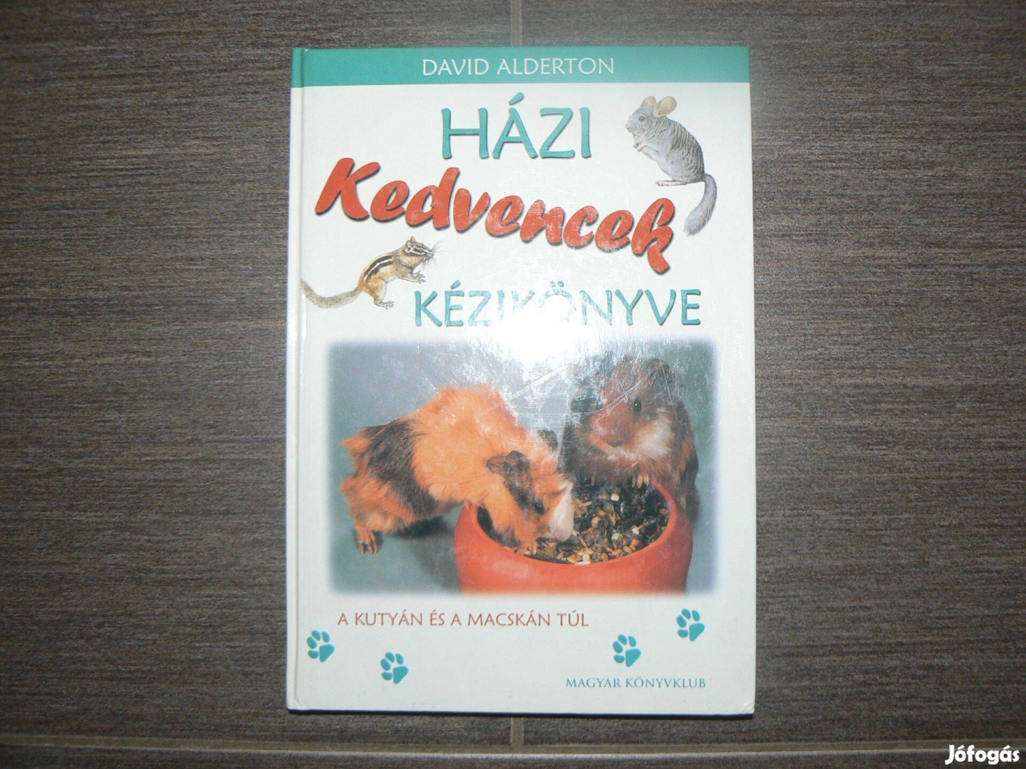 Új! Házi kedvencek kézikönyve c. könyv