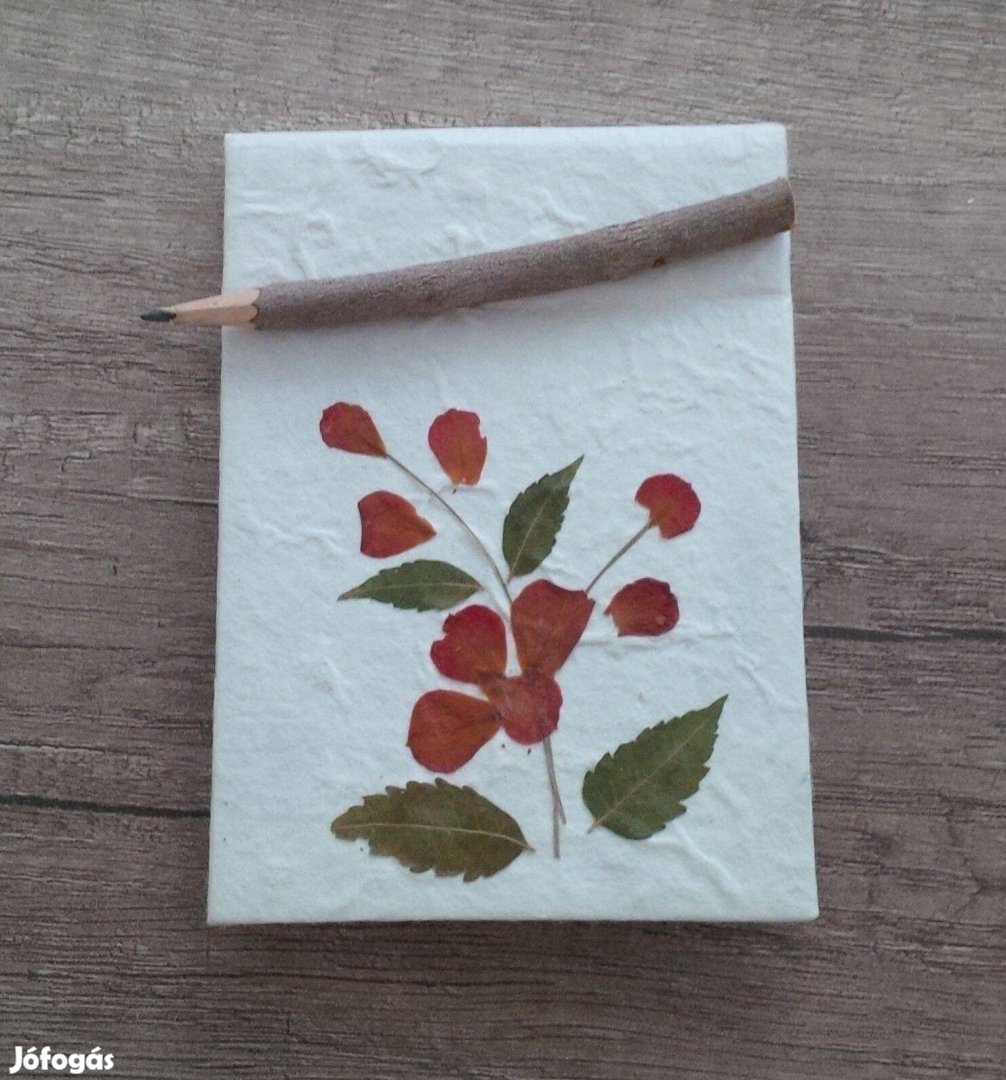 Új! Natúr virágos notesz füzet gallyból készült ceruzával, különleges