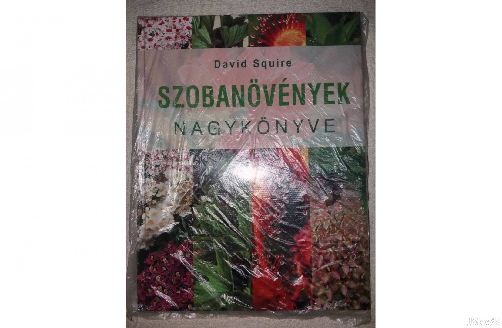 Új! Szobanövények nagykönyve ajándéknak tökéletes