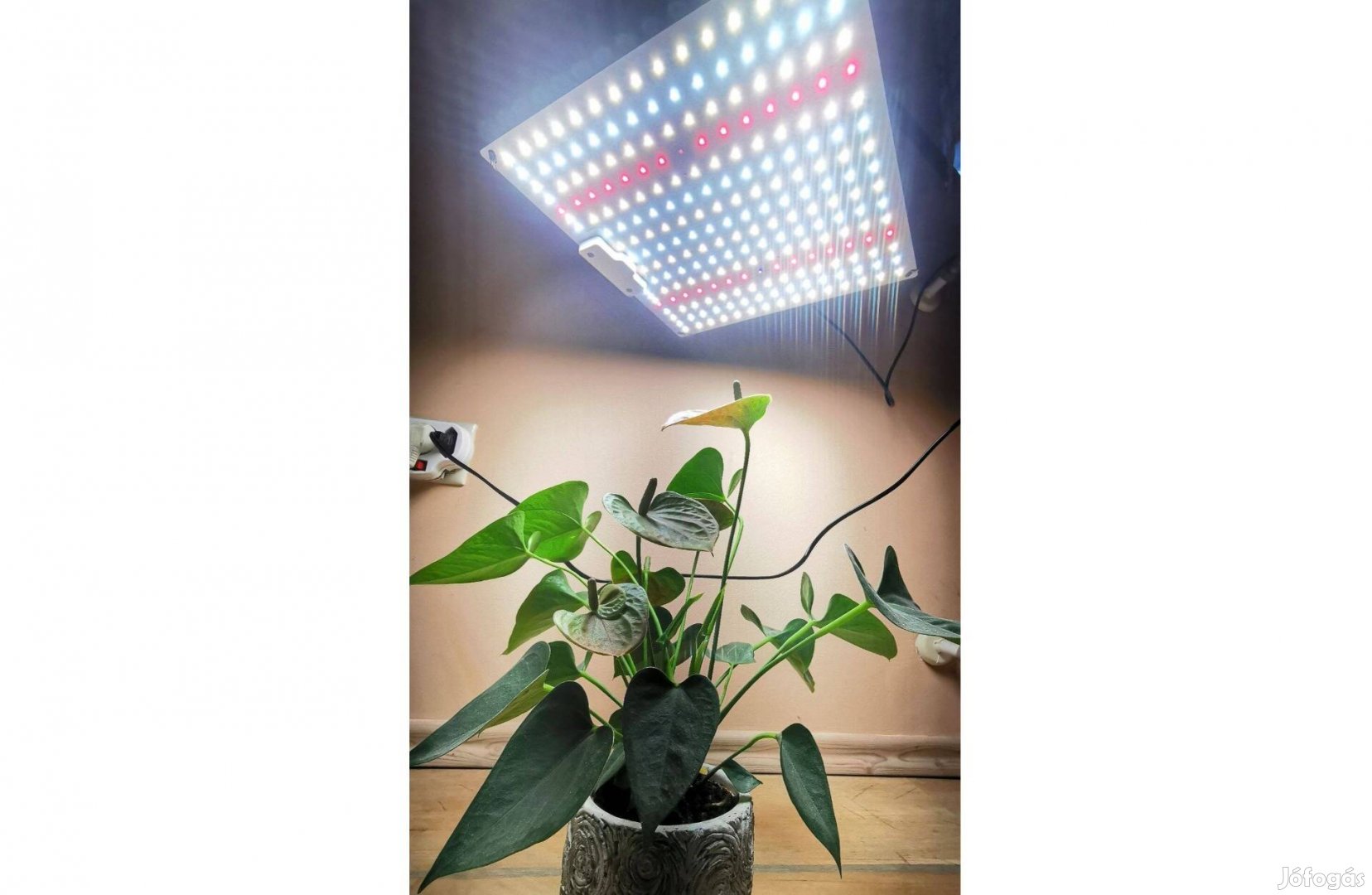 Új, teljes spektrumú Samsung LM281B LED(225db IR+UV növénylámpa(30x30)