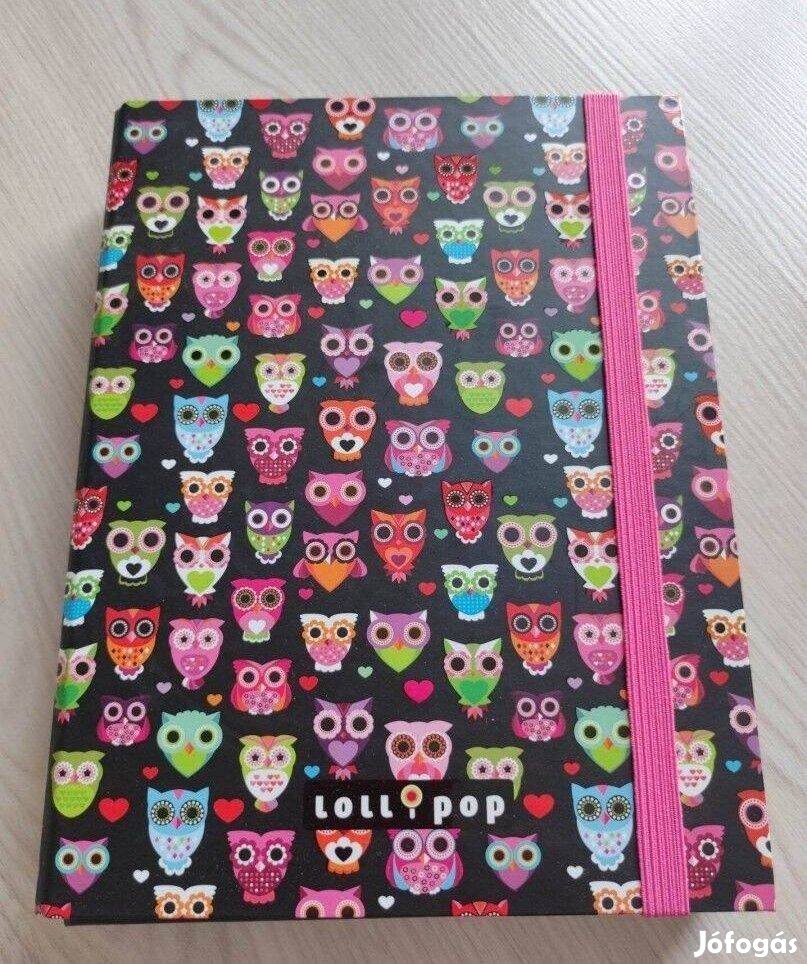 Új cuki baglyos mappa Lizzy Card Lollipop A5 füzetbox