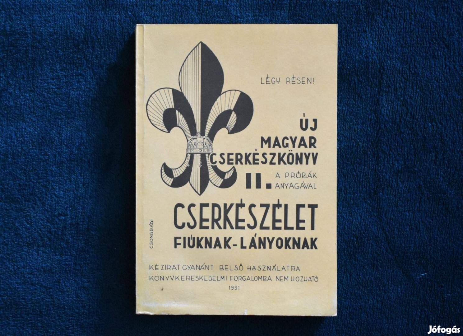 Új magyar cserkészkönyv II - Cserkészélet fiúknak-lányoknak Csongrádi