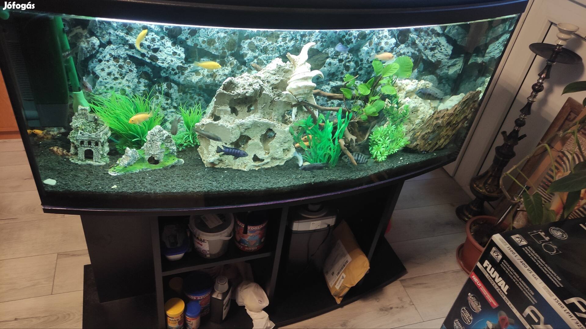 Új szerű 240 literes akvárium szett kompletten