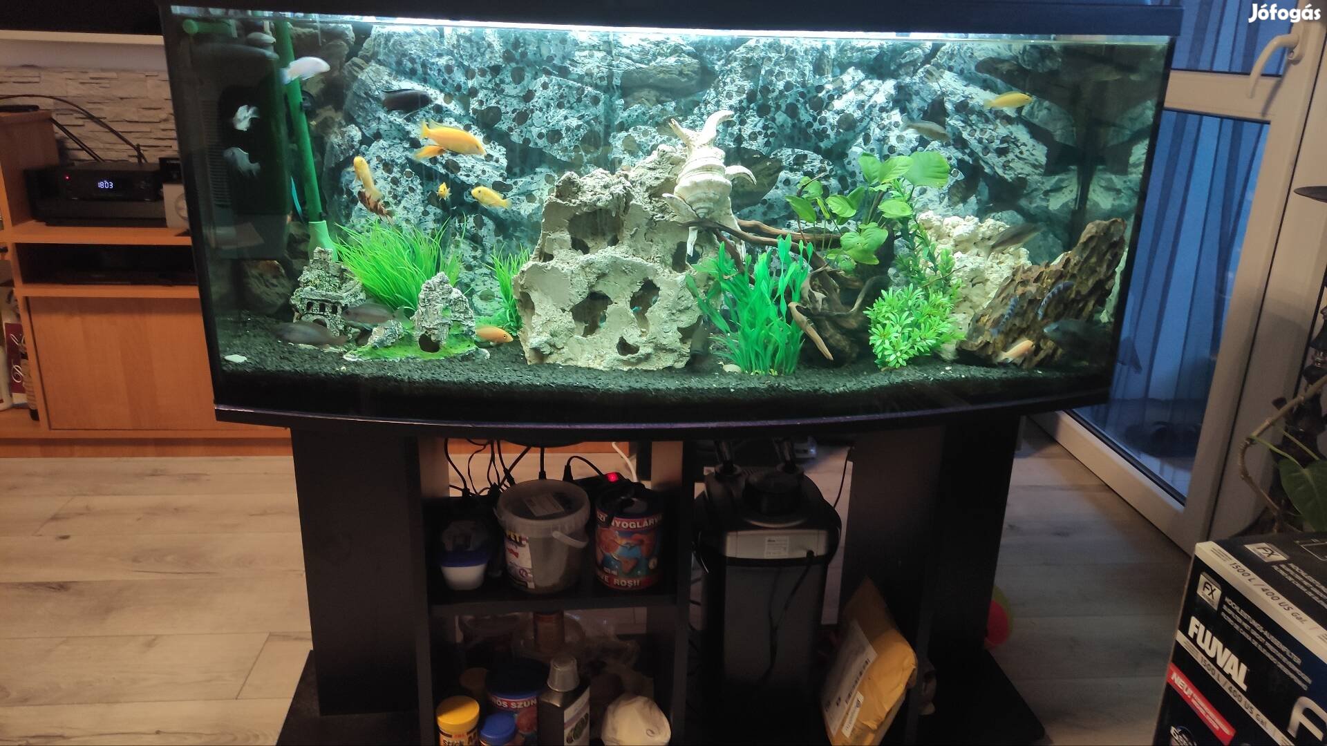 Új szerű 240 literes íves akvárium komplett szett