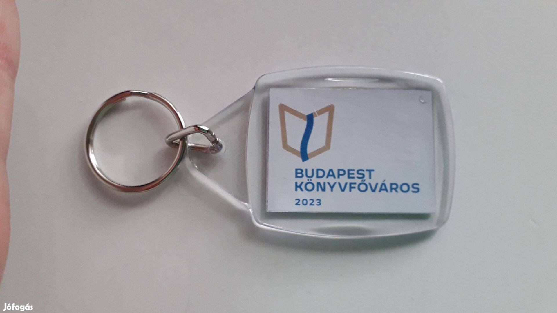 Új téglalap formájú műanyag kulcstartó könyvmolyoknak 6,5*4,5 cm_