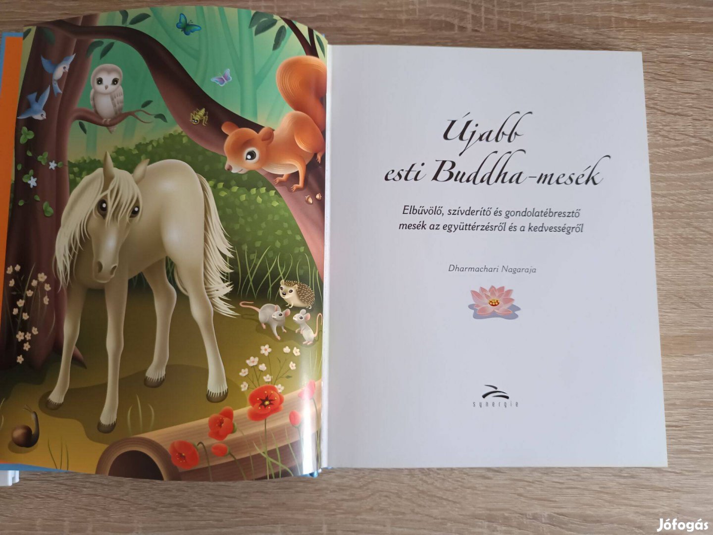 Újabb esti Buddha mesék