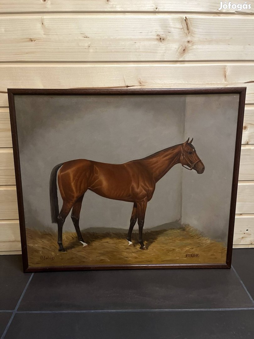 Újfalusi Árpád Peking nevű versenyló portréja