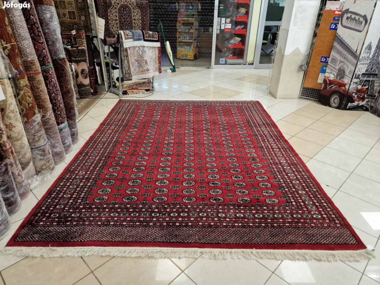 Újszerű bokhara-tekke 250x350 kézi gyapjú perzsa szőnyeg. KP02