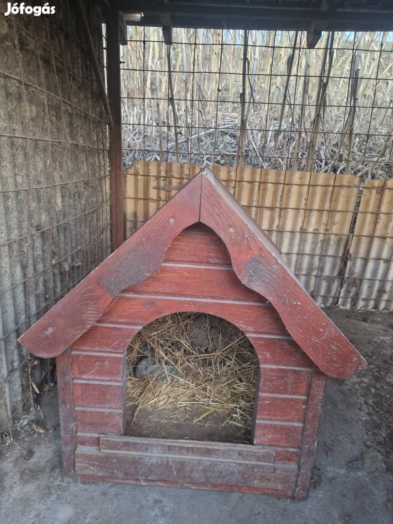 Újszerű kutyaház