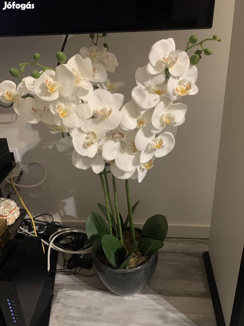Újszerű nagy mű orchidea művirág