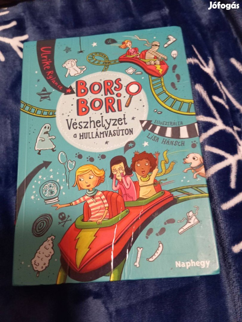 Ulrike Rylance: Vészhelyzet a hullámvasúton (Bors Bori 2.)