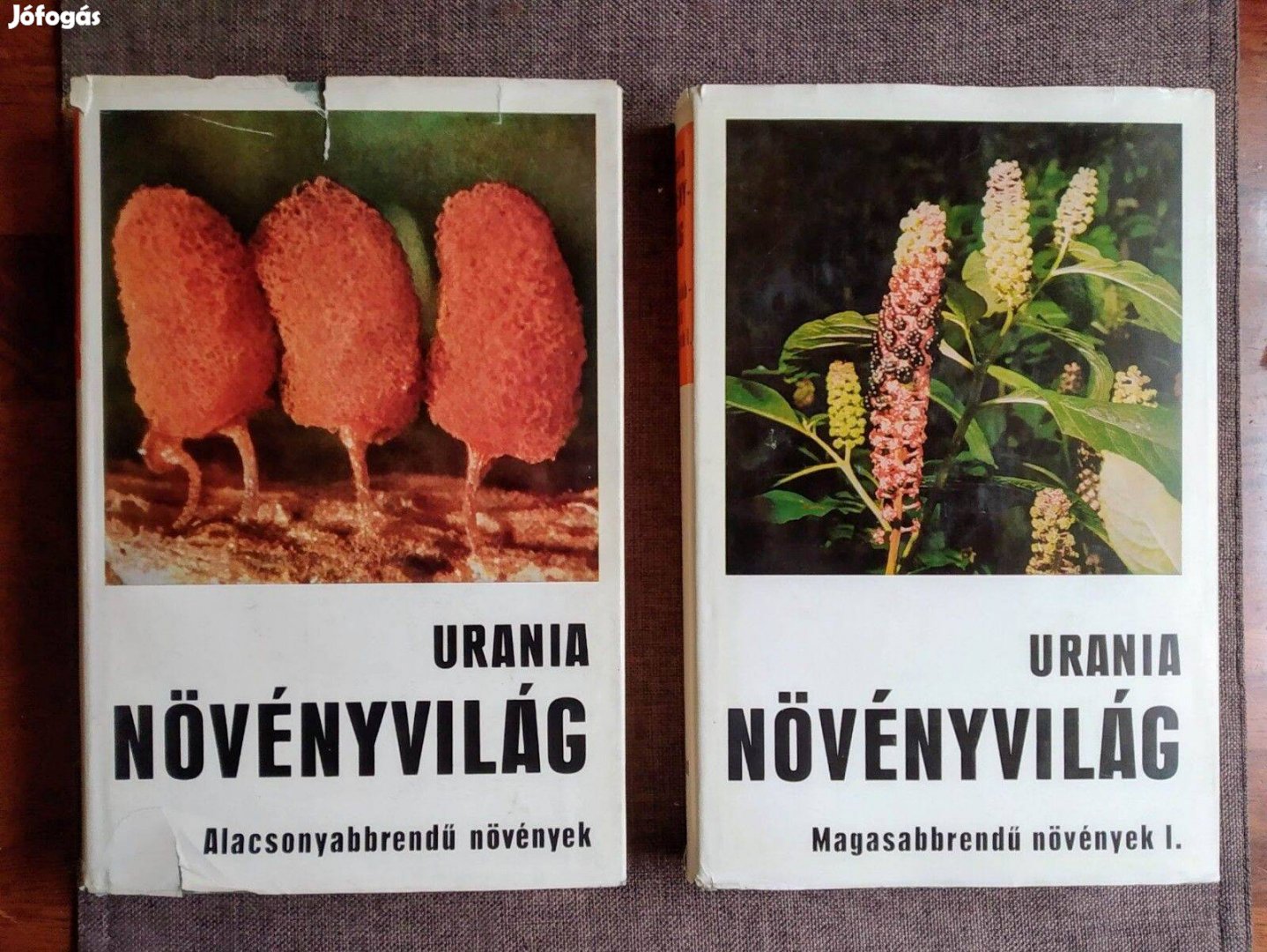 Uránia Növényvilág Növényvilág (Alacsonyabbrendű növények) - Urania 50