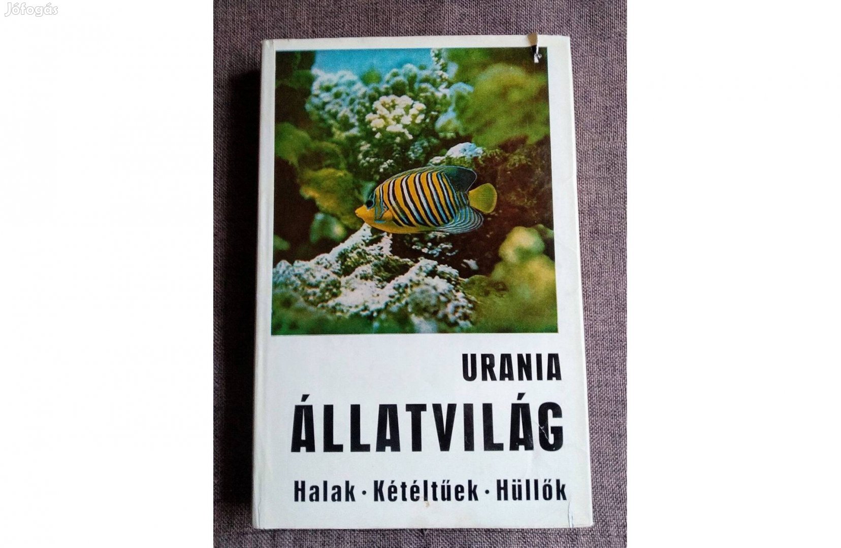 Uránia állatvilág növényvilág