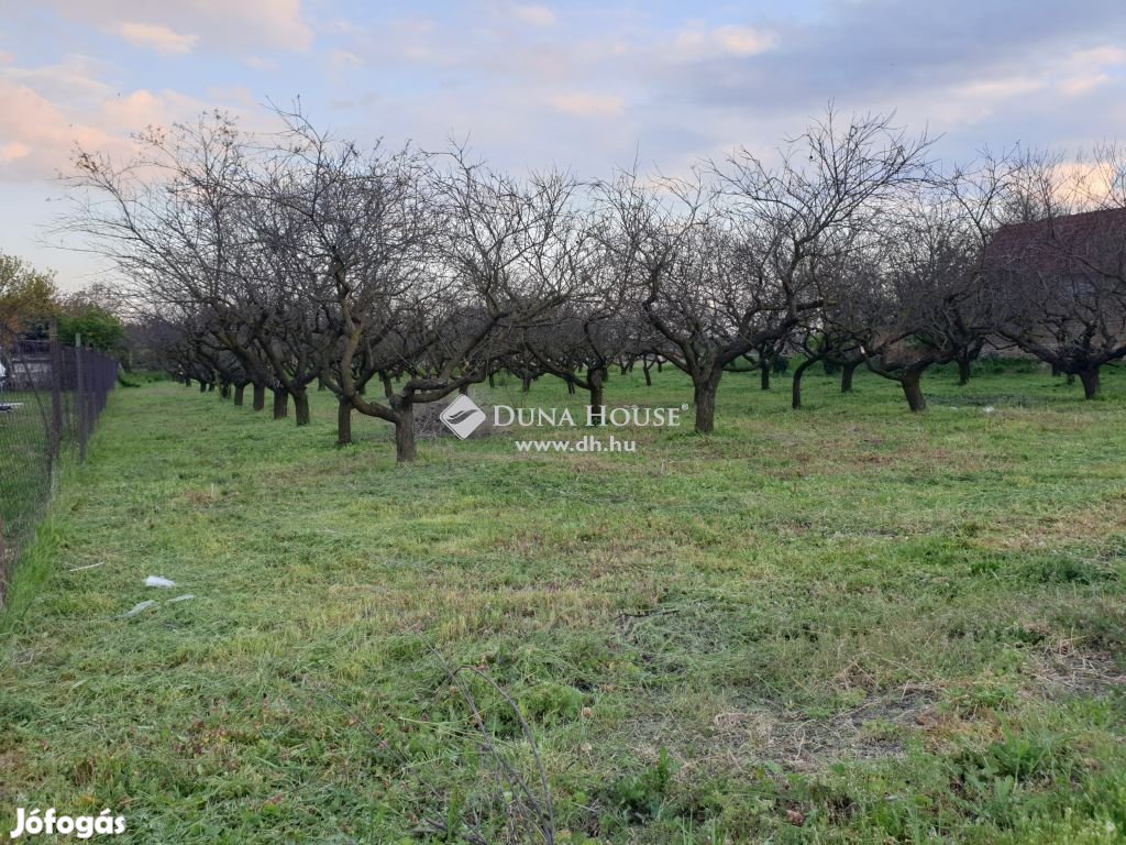 Úrhidai 3185 nm-es telek eladó