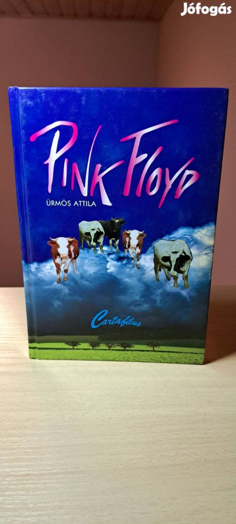 Ürmös Attila: Pink Floyd