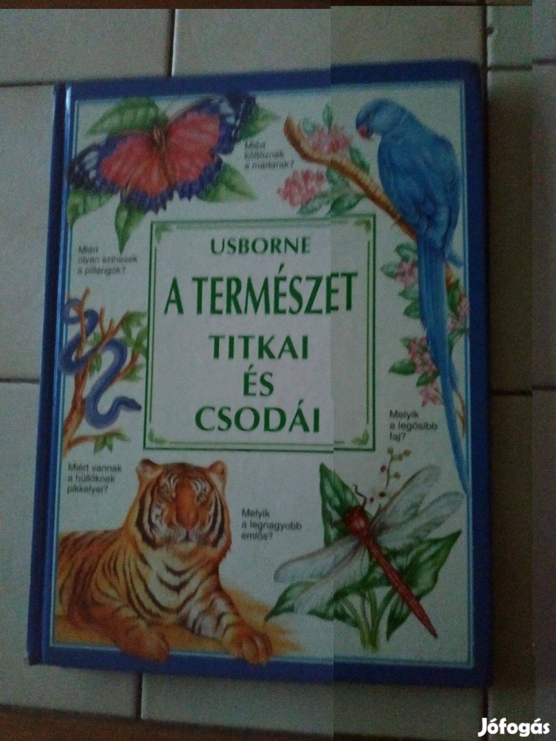 Usborne A természet titkai és csodái