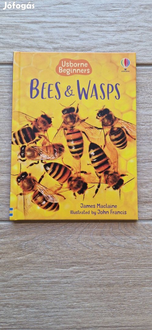 Usborne: Bees & Wasps könyv 