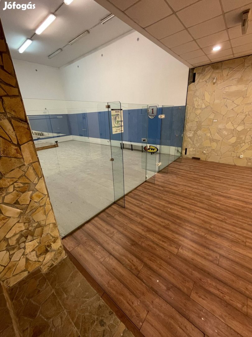 Üvegfal (squash pálya méret) kompletten eladó
