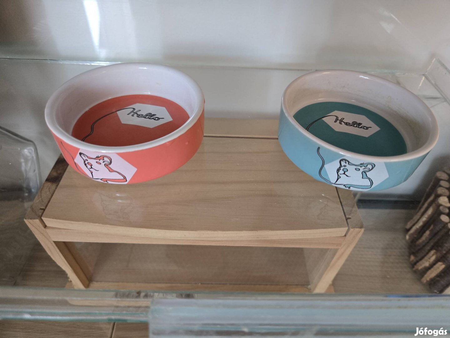 Üvegpalota kiskedvencnek, minden jóval