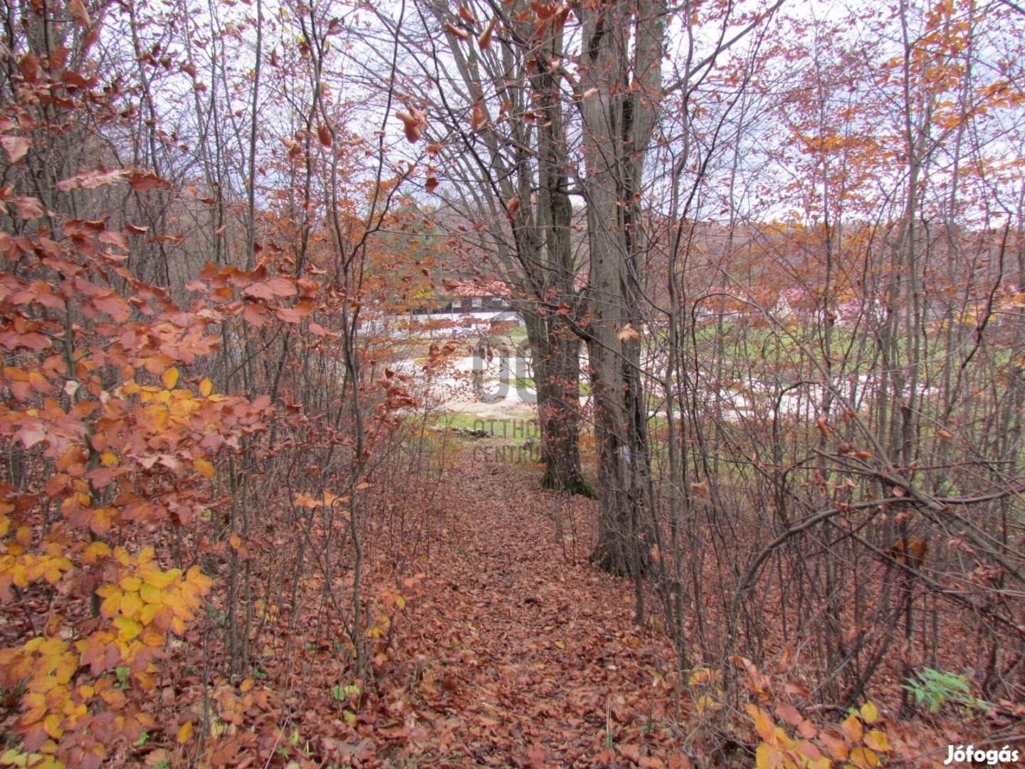 VARÁZSLATOS TELEK ELADÓ A BÜKKI NEMZETI PARK MELLETT!
