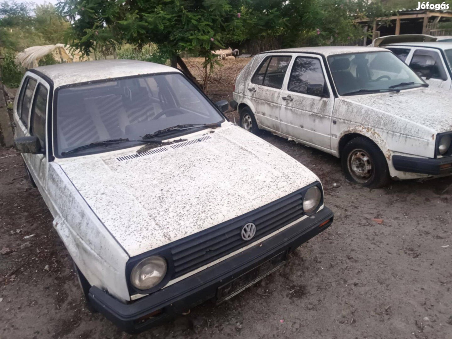 VW Golf 2es 4 db eladó