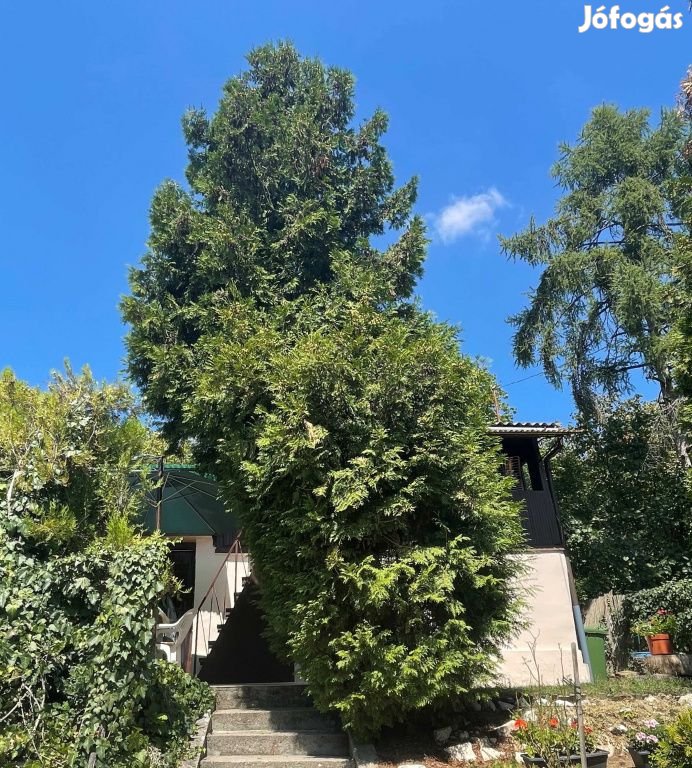 Vác, Nyulas, 49 m2-es, üdülő, 3 szobás, felújítandó állapotú