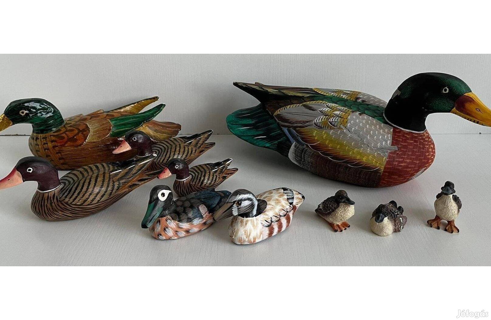 Vadkacsa kacsa dísztárgy gyűjtemény (dekor dekoráció) 10 db