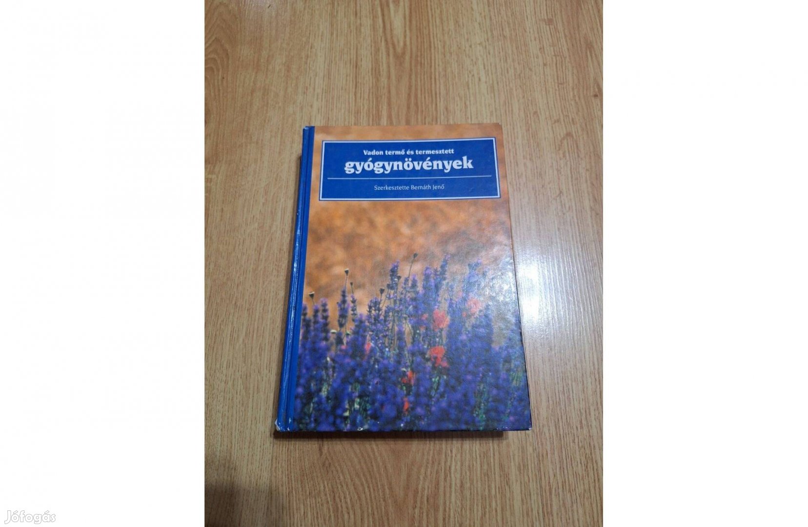 Vadon termő és termesztett gyógynövények